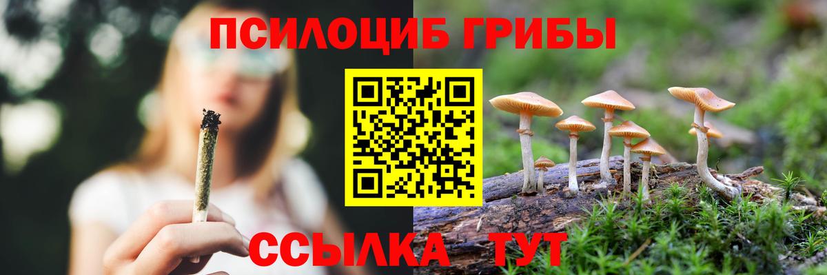 Галлюциногенные грибы мухоморы  Вход с VPN  Канаш  Галлюциногенные грибы Cubensis 